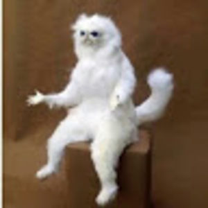 Meet your Posher, Lucas